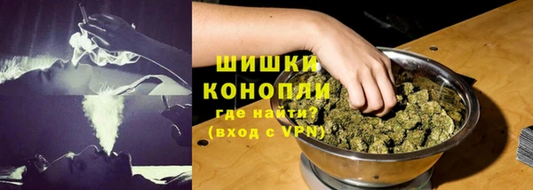 гидропоника Белокуриха