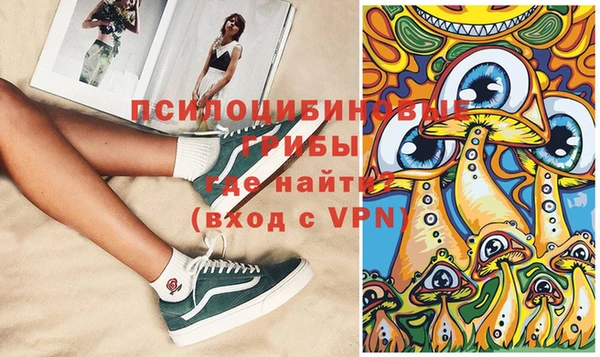 гидропоника Белокуриха