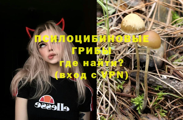 гидропоника Белокуриха
