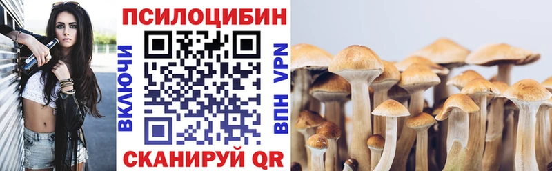 Псилоцибиновые грибы GOLDEN TEACHER  Гудермес 