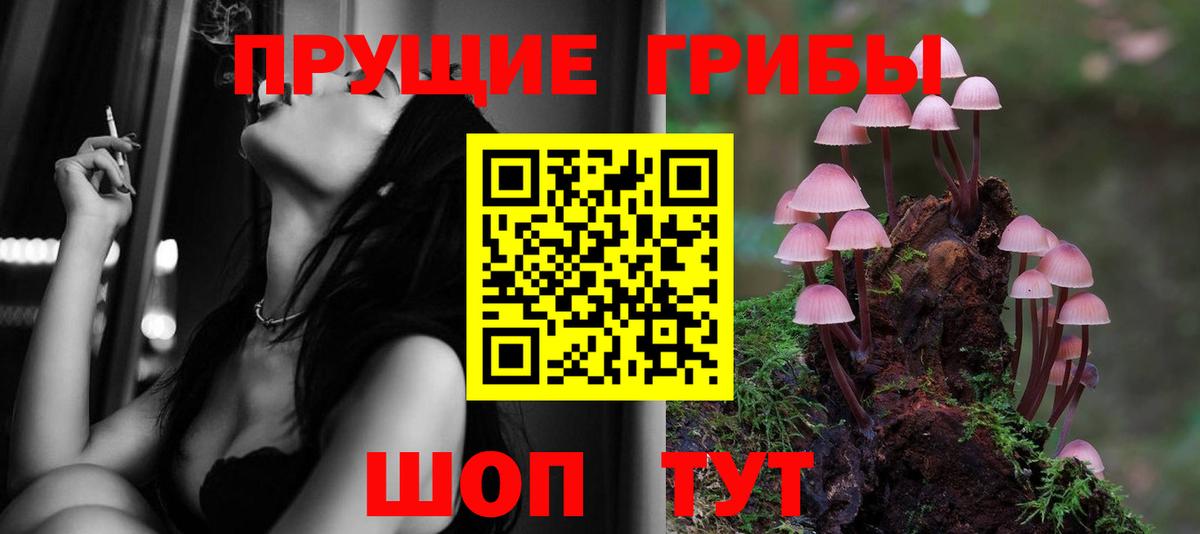 Галлюциногенные грибы Cubensis  Гудермес 