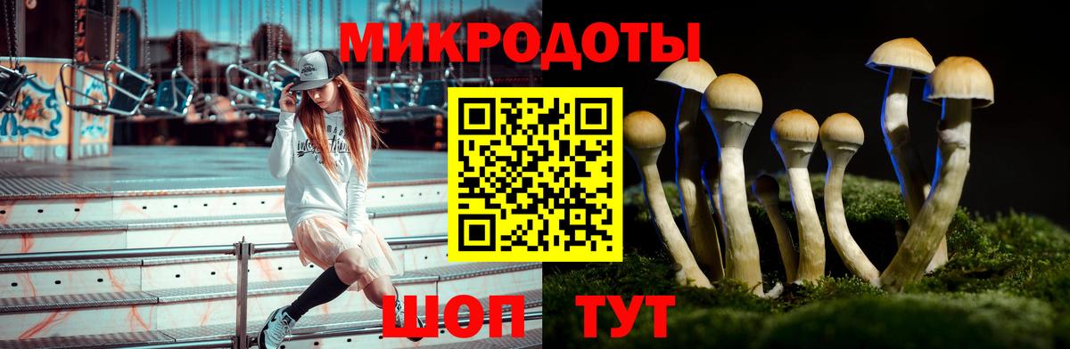 Галлюциногенные грибы GOLDEN TEACHER  Галлюциногенные грибы ЛСД  Гудермес  Вход с VPN 
