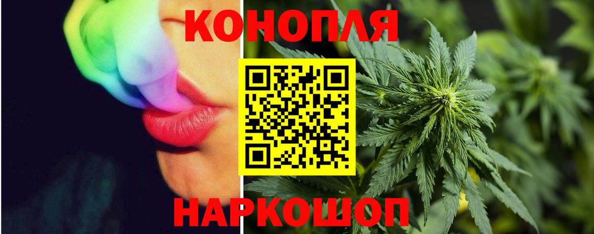 Канабис тримм  Вход с VPN  Каннабис тримм  Бошки марихуана THC 21%  Гудермес  Бошки Шишки Bruce Banner 